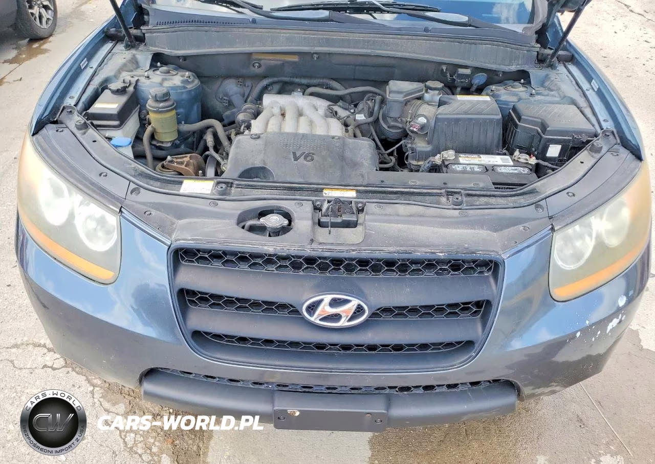 2009 Hyundai Santa Fe Gls VIN:5NMSG13D39H238060 - 12