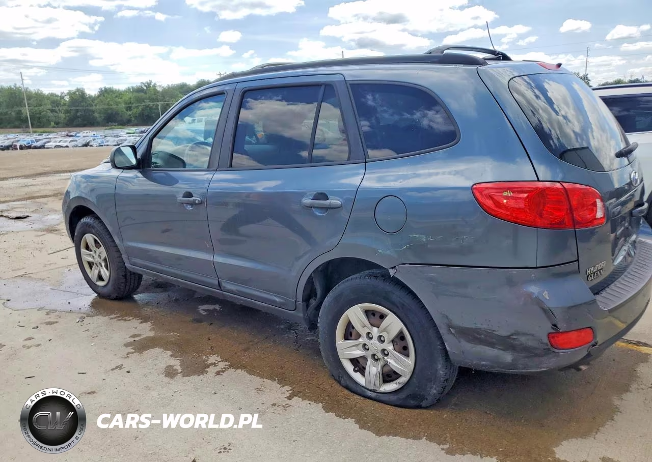 2009 Hyundai Santa Fe Gls VIN:5NMSG13D39H238060 - 2