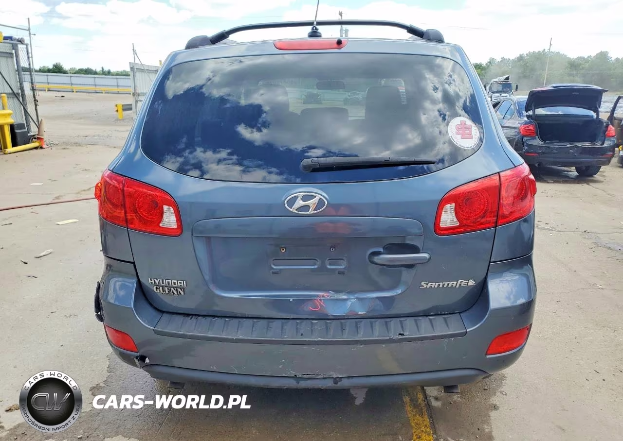 2009 Hyundai Santa Fe Gls VIN:5NMSG13D39H238060 - 6