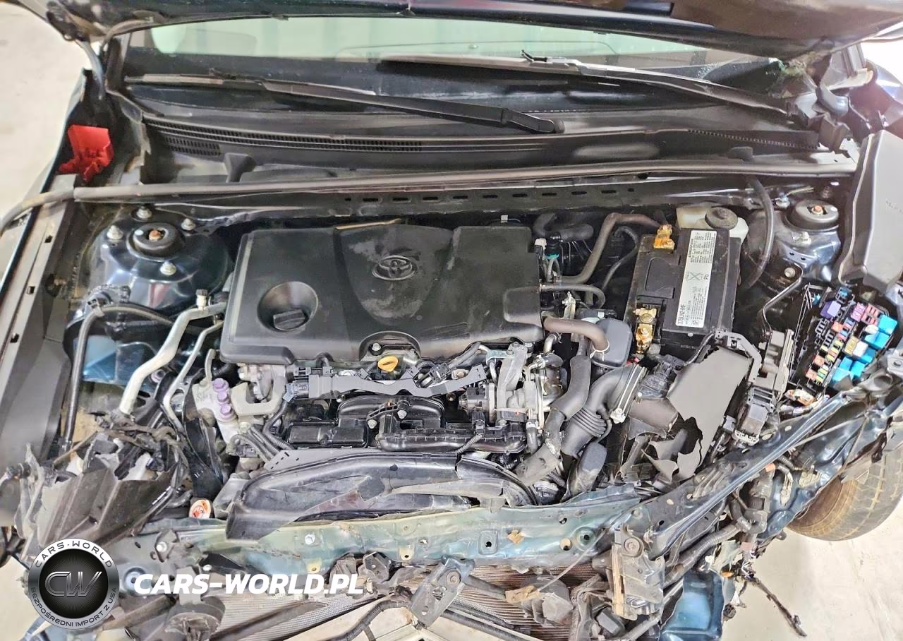 2019 Toyota Camry Le VIN:4T1B11HK6KU254286 - 11
