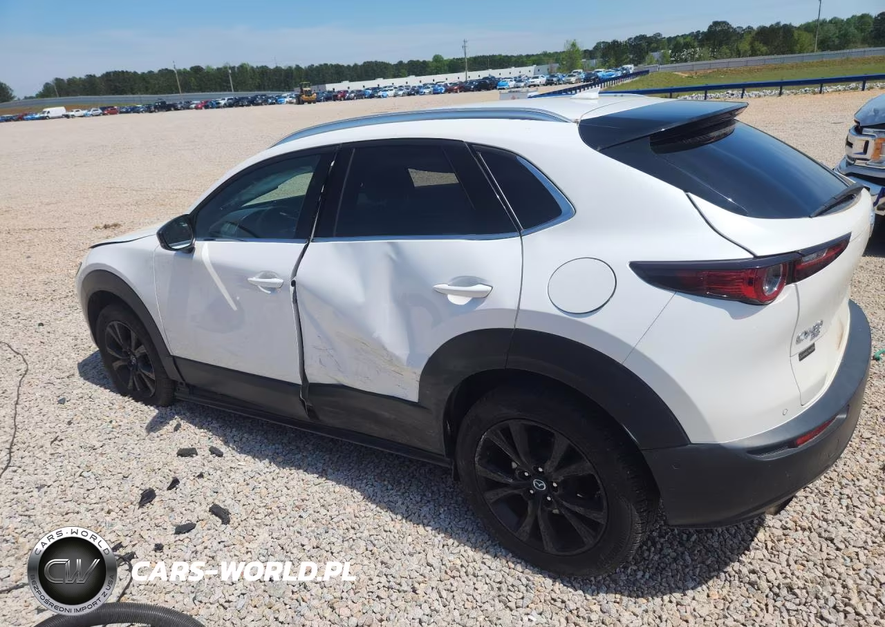 2021 Mazda Cx-30 Premium Plus VIN:3MVDMBEY0MM249304 - 2