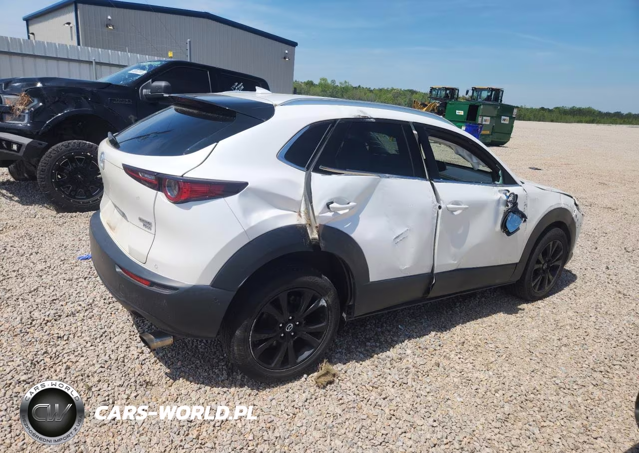 2021 Mazda Cx-30 Premium Plus VIN:3MVDMBEY0MM249304 - 3