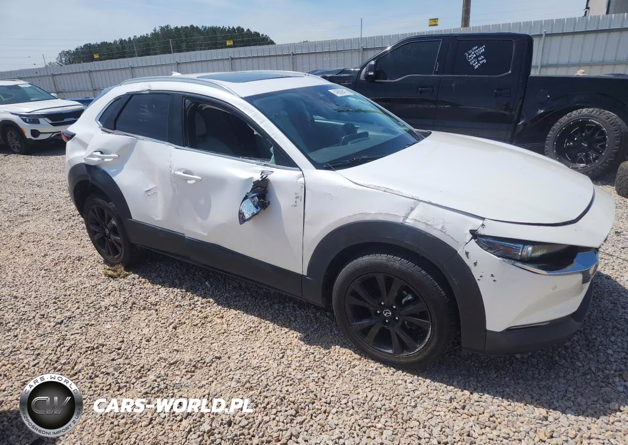 2021 Mazda Cx-30 Premium Plus VIN:3MVDMBEY0MM249304 - 4