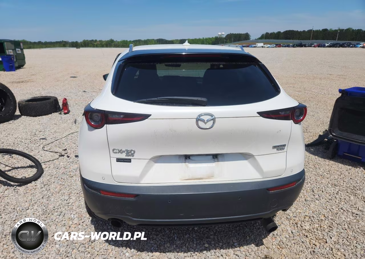 2021 Mazda Cx-30 Premium Plus VIN:3MVDMBEY0MM249304 - 6