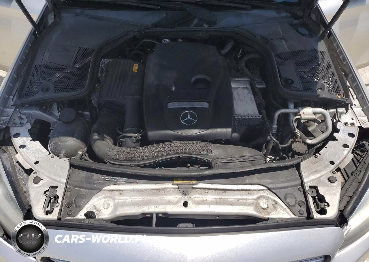 2018 Mercedes-Benz C 300 VIN:55SWF4JB8JU246411 - 11