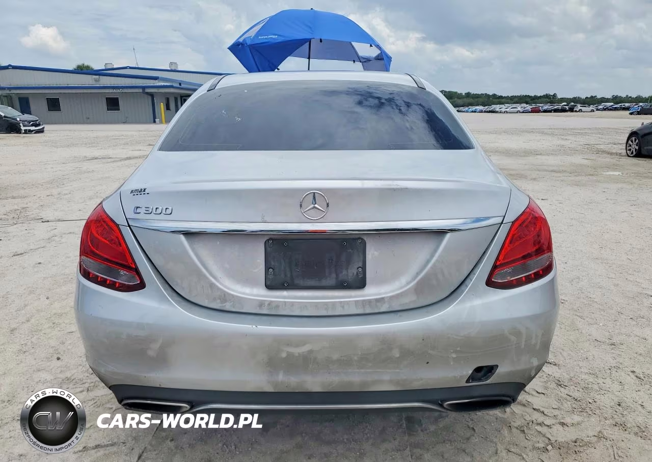 2018 Mercedes-Benz C 300 VIN:55SWF4JB8JU246411 - 6