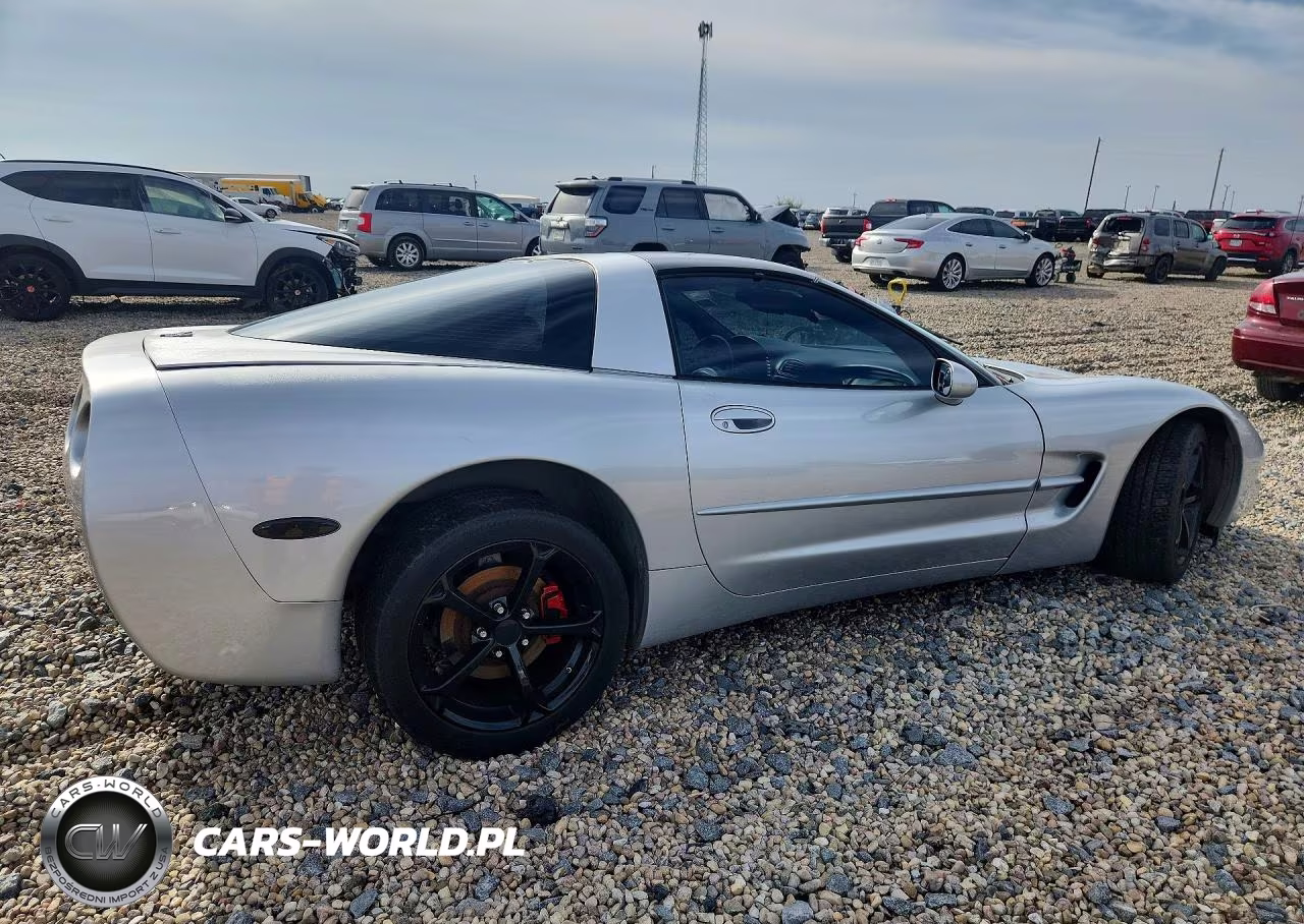 1999 Chevrolet Corvette VIN:1G1YY22G8X5101309 - 3