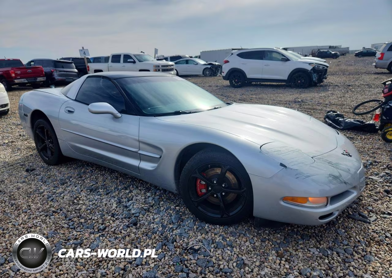 1999 Chevrolet Corvette VIN:1G1YY22G8X5101309 - 4