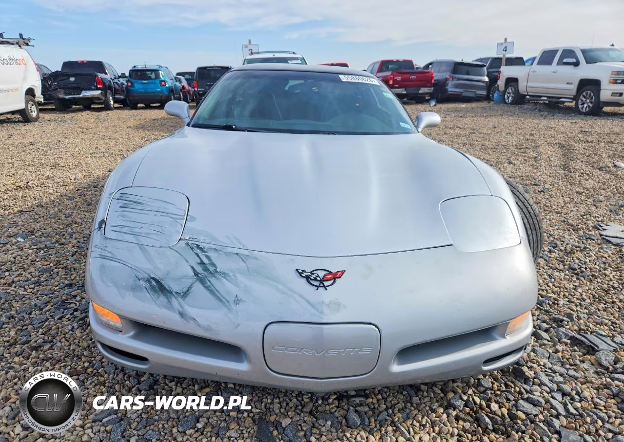 1999 Chevrolet Corvette VIN:1G1YY22G8X5101309 - 5