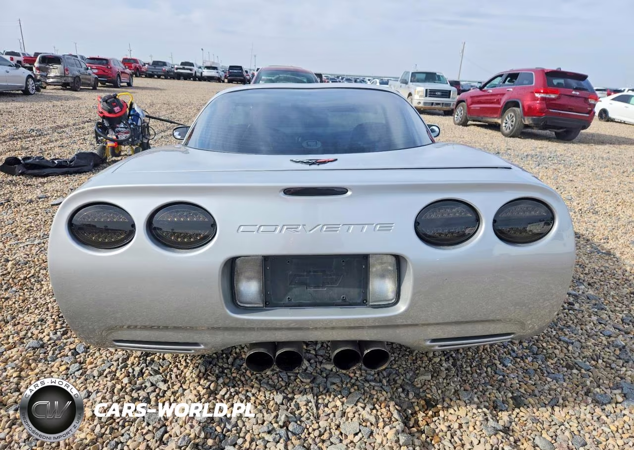 1999 Chevrolet Corvette VIN:1G1YY22G8X5101309 - 6
