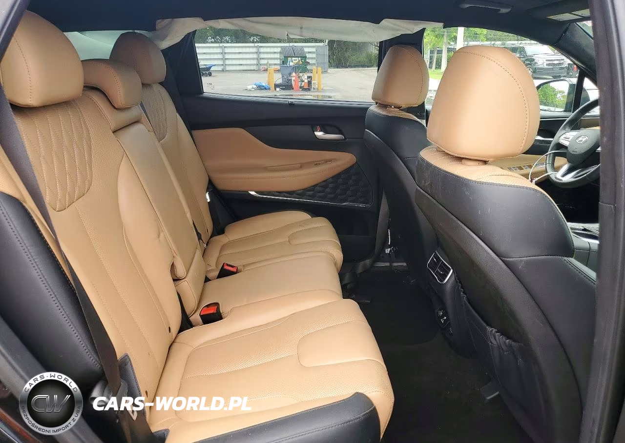 2023 Hyundai Santa Fe Calligraphy VIN:5NMS5DAL6PH616404 - 10