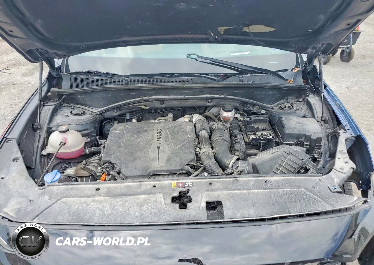 2023 Hyundai Santa Fe Calligraphy VIN:5NMS5DAL6PH616404 - 11