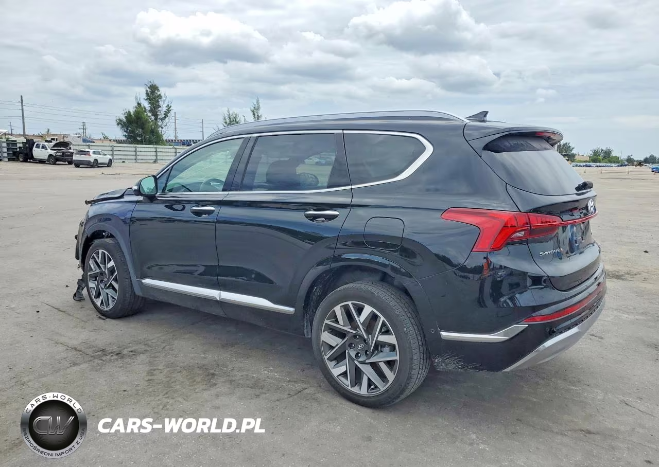 2023 Hyundai Santa Fe Calligraphy VIN:5NMS5DAL6PH616404 - 2