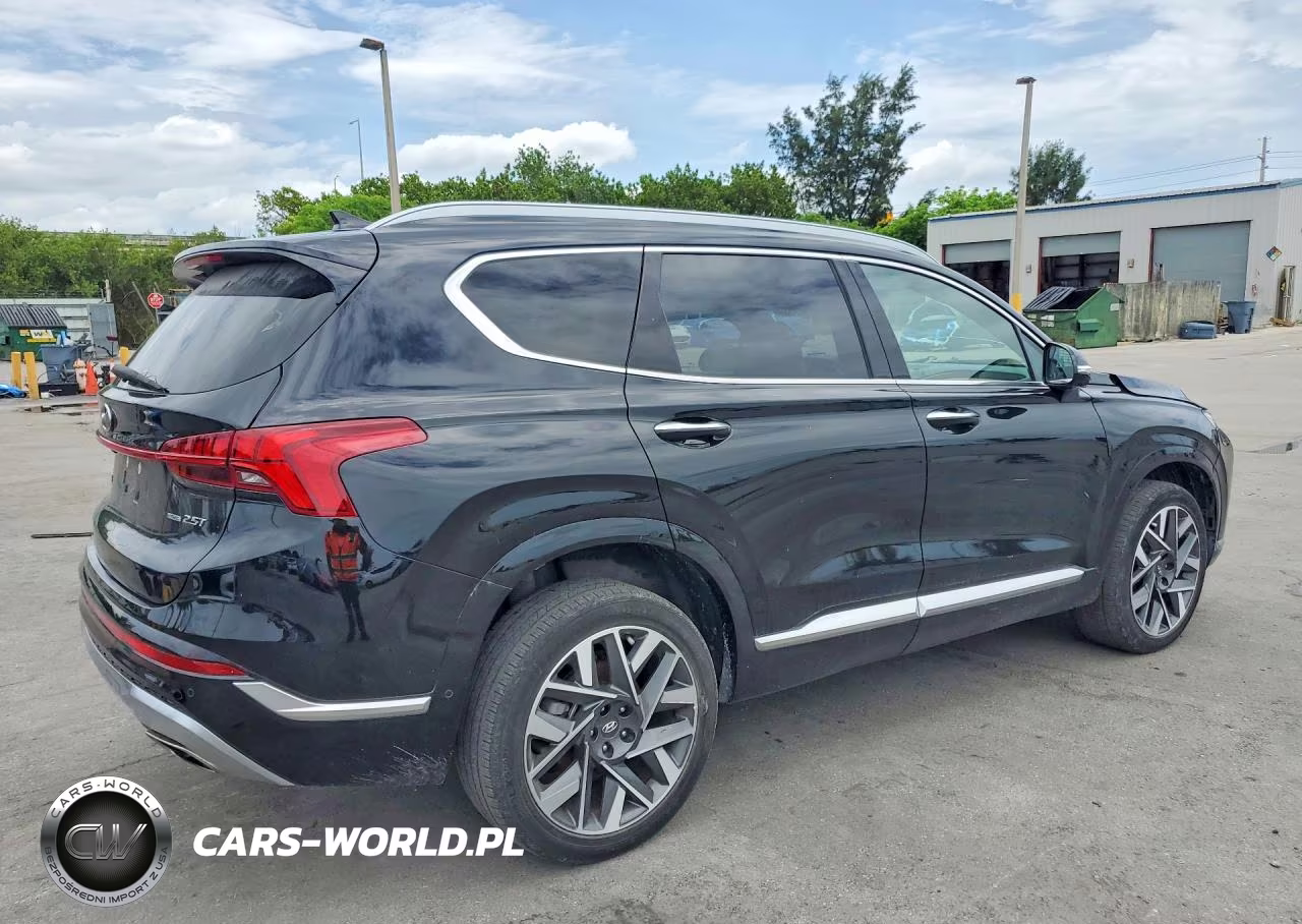 2023 Hyundai Santa Fe Calligraphy VIN:5NMS5DAL6PH616404 - 3