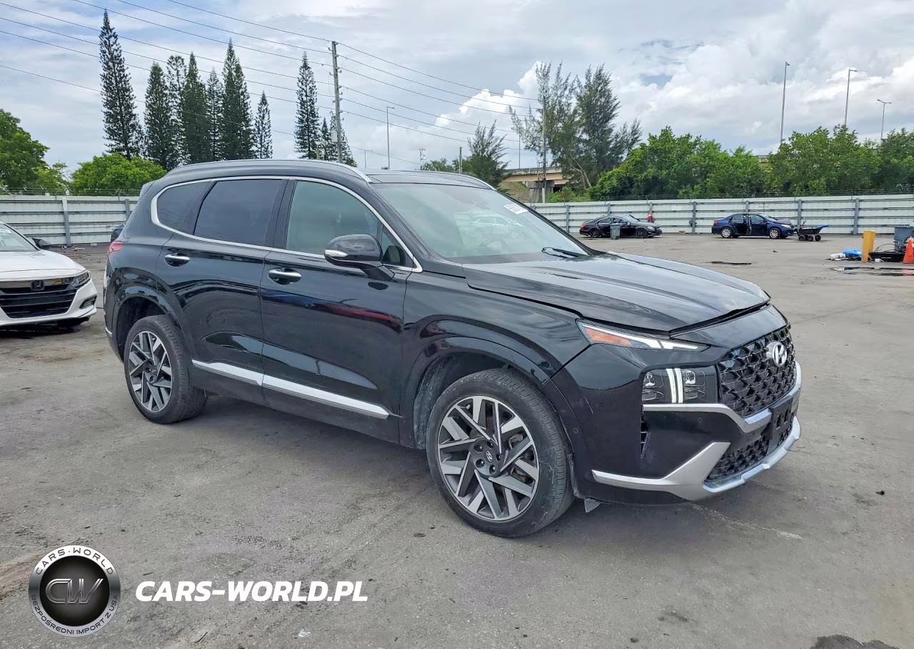 2023 Hyundai Santa Fe Calligraphy VIN:5NMS5DAL6PH616404 - 4