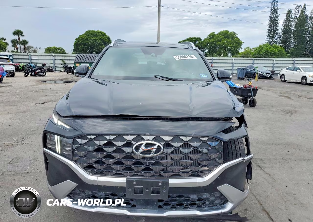 2023 Hyundai Santa Fe Calligraphy VIN:5NMS5DAL6PH616404 - 5