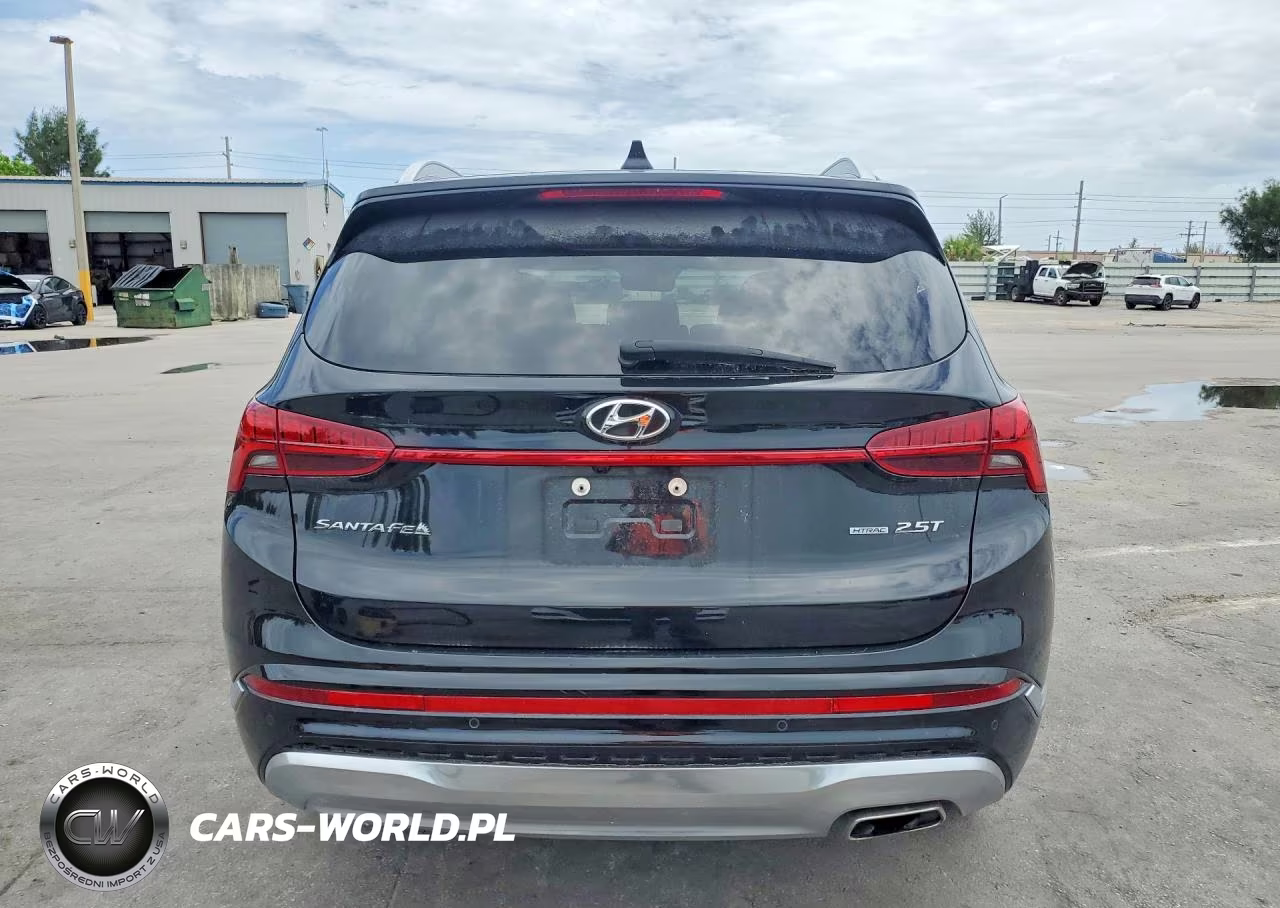 2023 Hyundai Santa Fe Calligraphy VIN:5NMS5DAL6PH616404 - 6