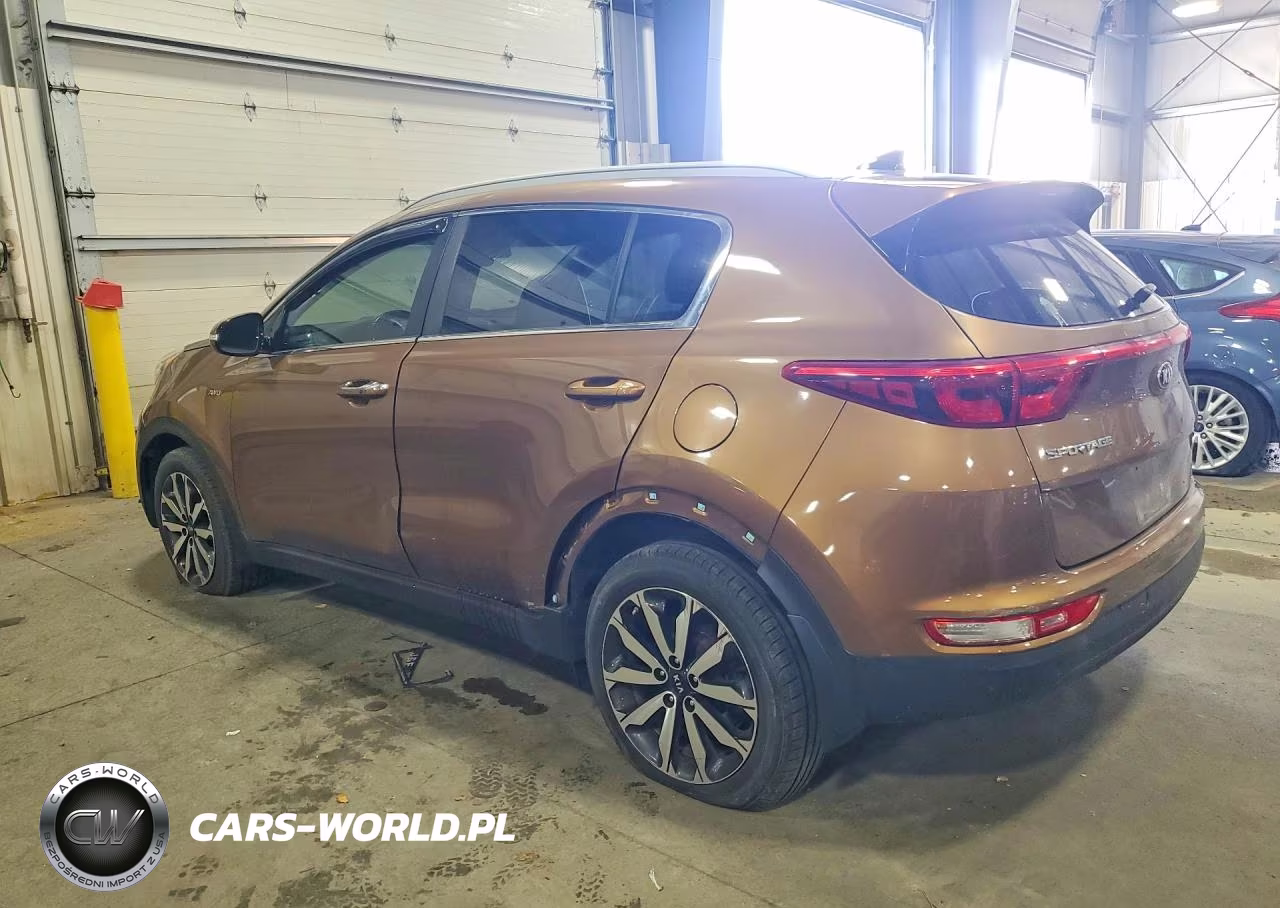 2017 Kia Sportage Ex VIN:KNDPNCAC6H7167606 - 2
