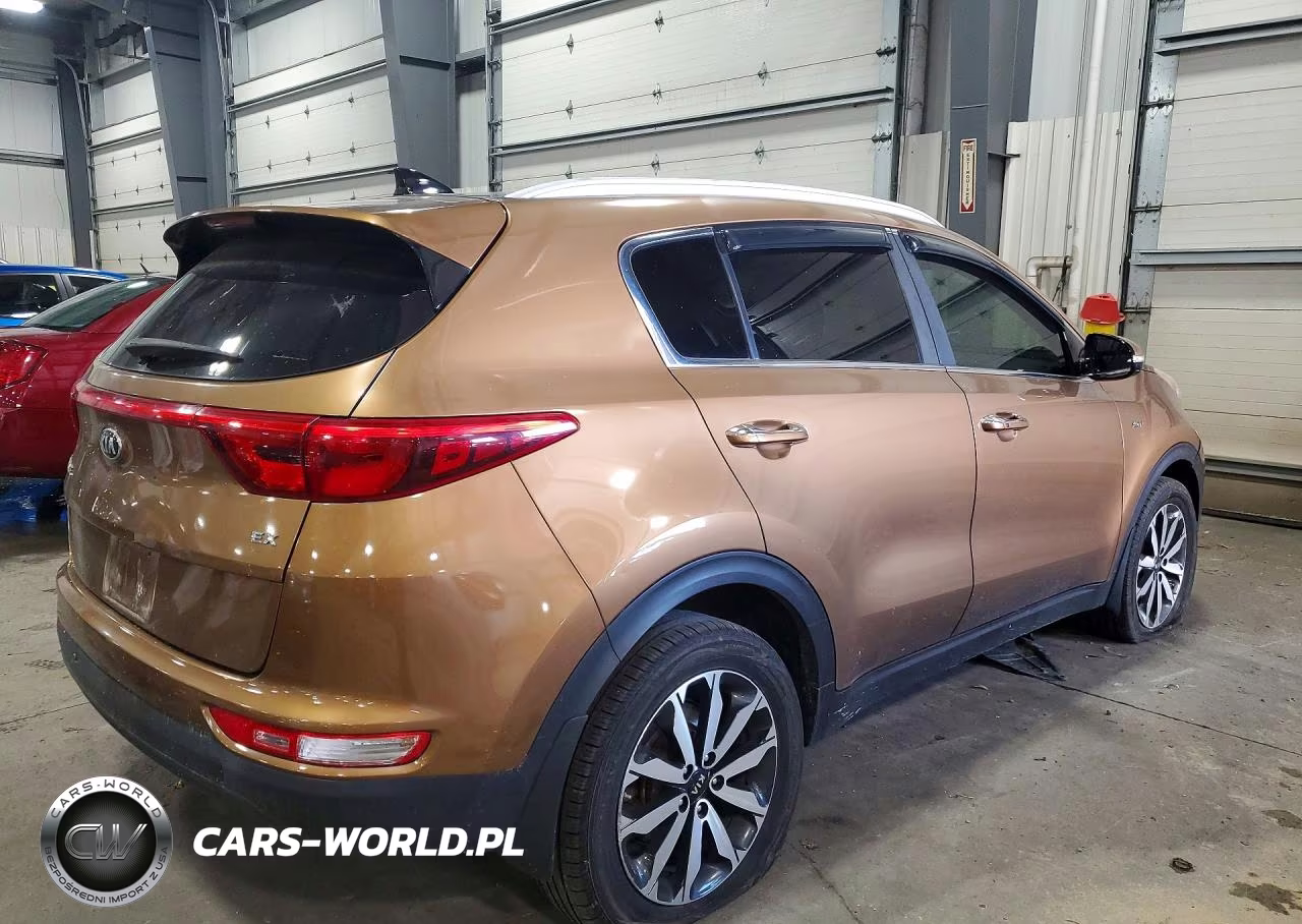 2017 Kia Sportage Ex VIN:KNDPNCAC6H7167606 - 3