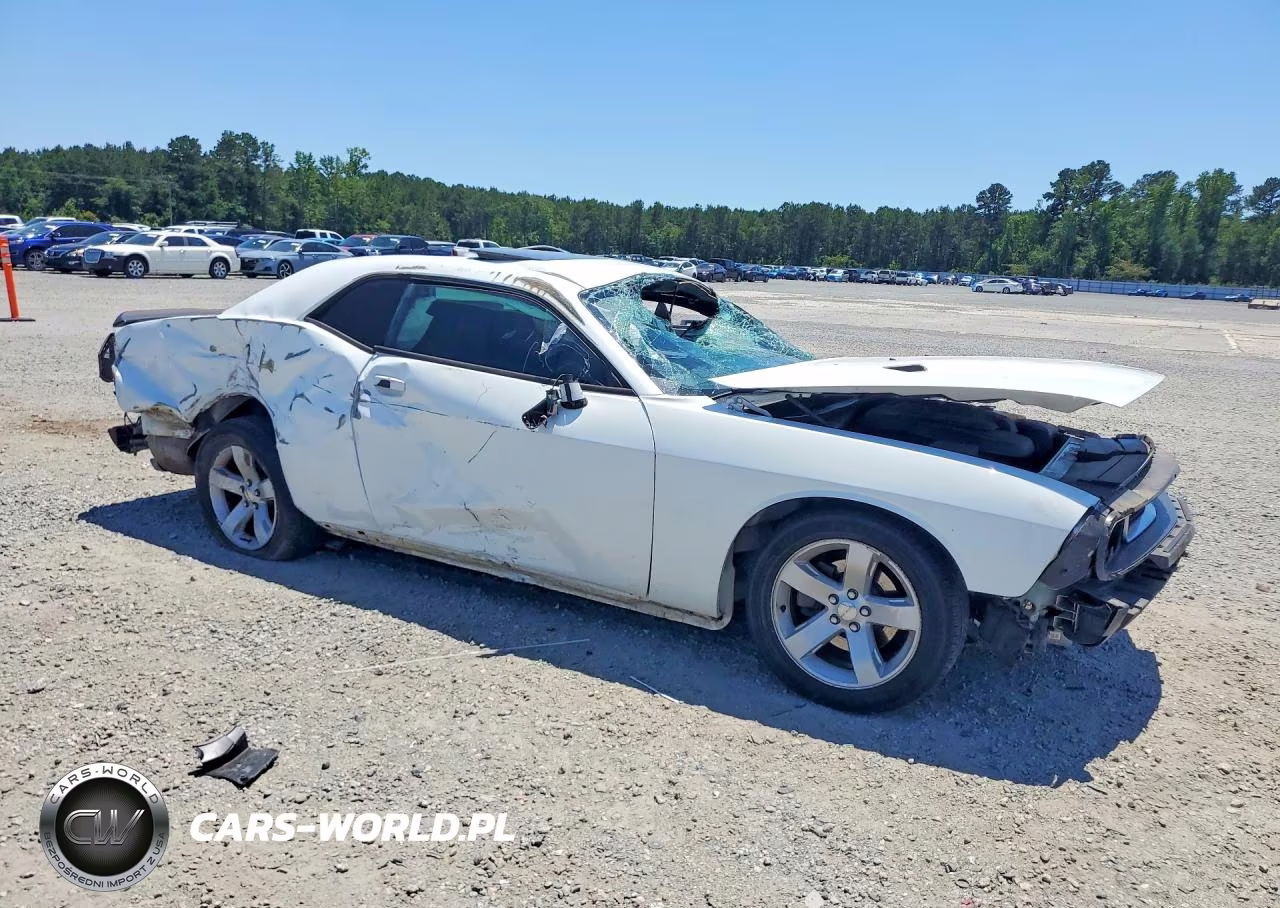 2014 Dodge Challenger Sxt VIN:2C3CDYAG4EH306296 - 4