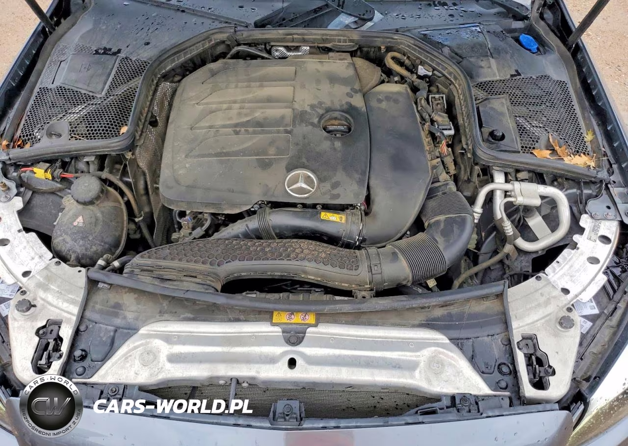 2019 Mercedes-Benz C 300 VIN:55SWF8DBXKU309058 - 11