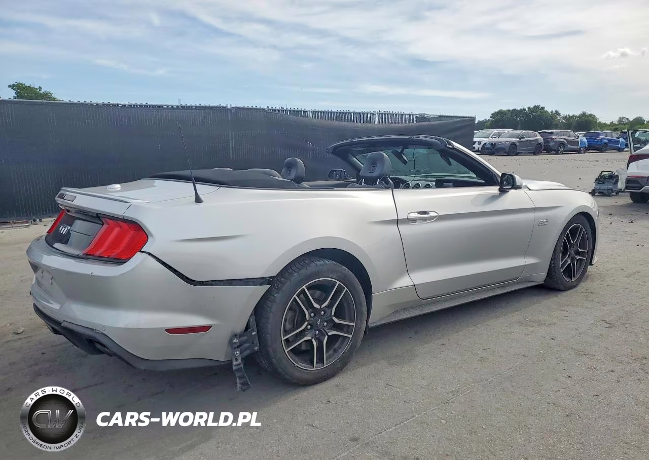 2019 Ford Mustang Gt VIN:1FATP8FF8K5149044 - 3