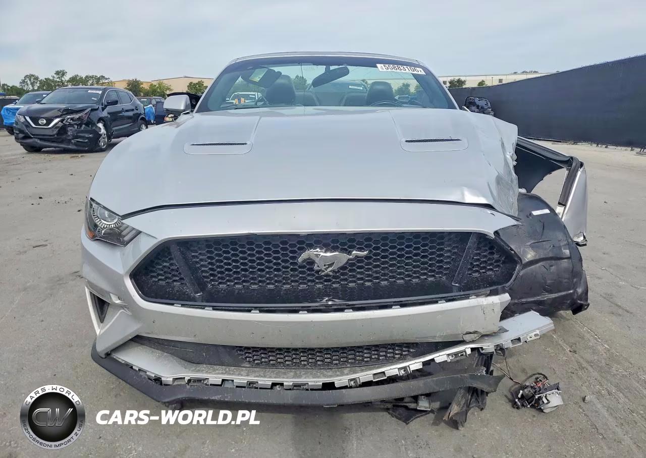 2019 Ford Mustang Gt VIN:1FATP8FF8K5149044 - 5