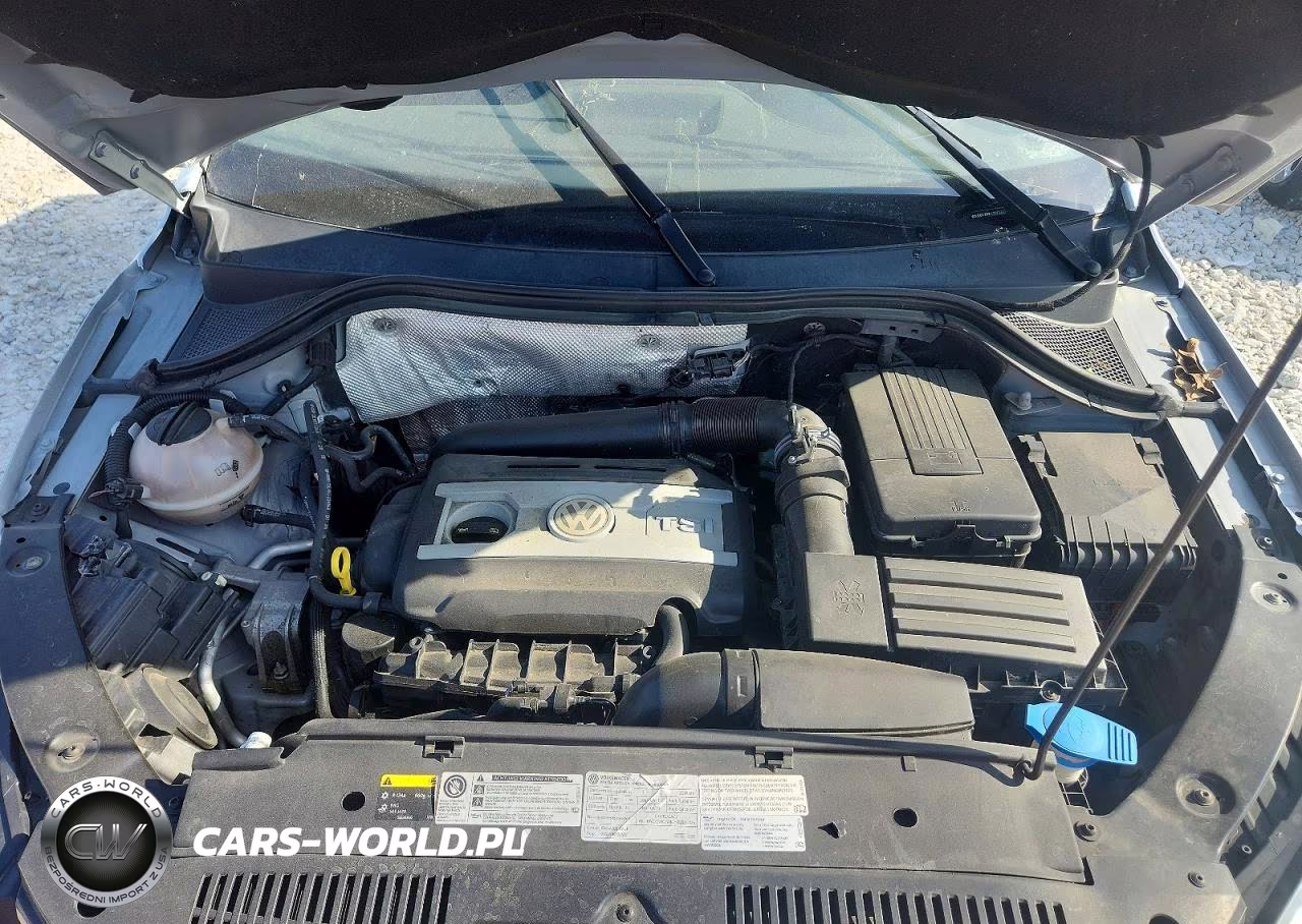 2016 Volkswagen Tiguan S VIN:WVGBV7AX1GW024941 - 12