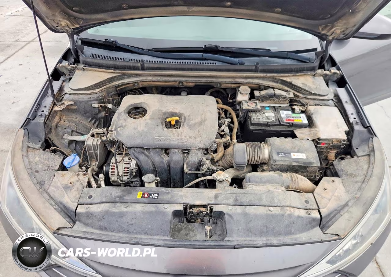 2019 Hyundai Elantra Sel VIN:5NPD84LF4KH480549 - 11