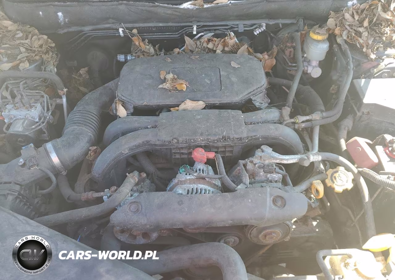 SUBARU OUTBACK 2. VIN:4S4BRBGCXA3343436 - 12