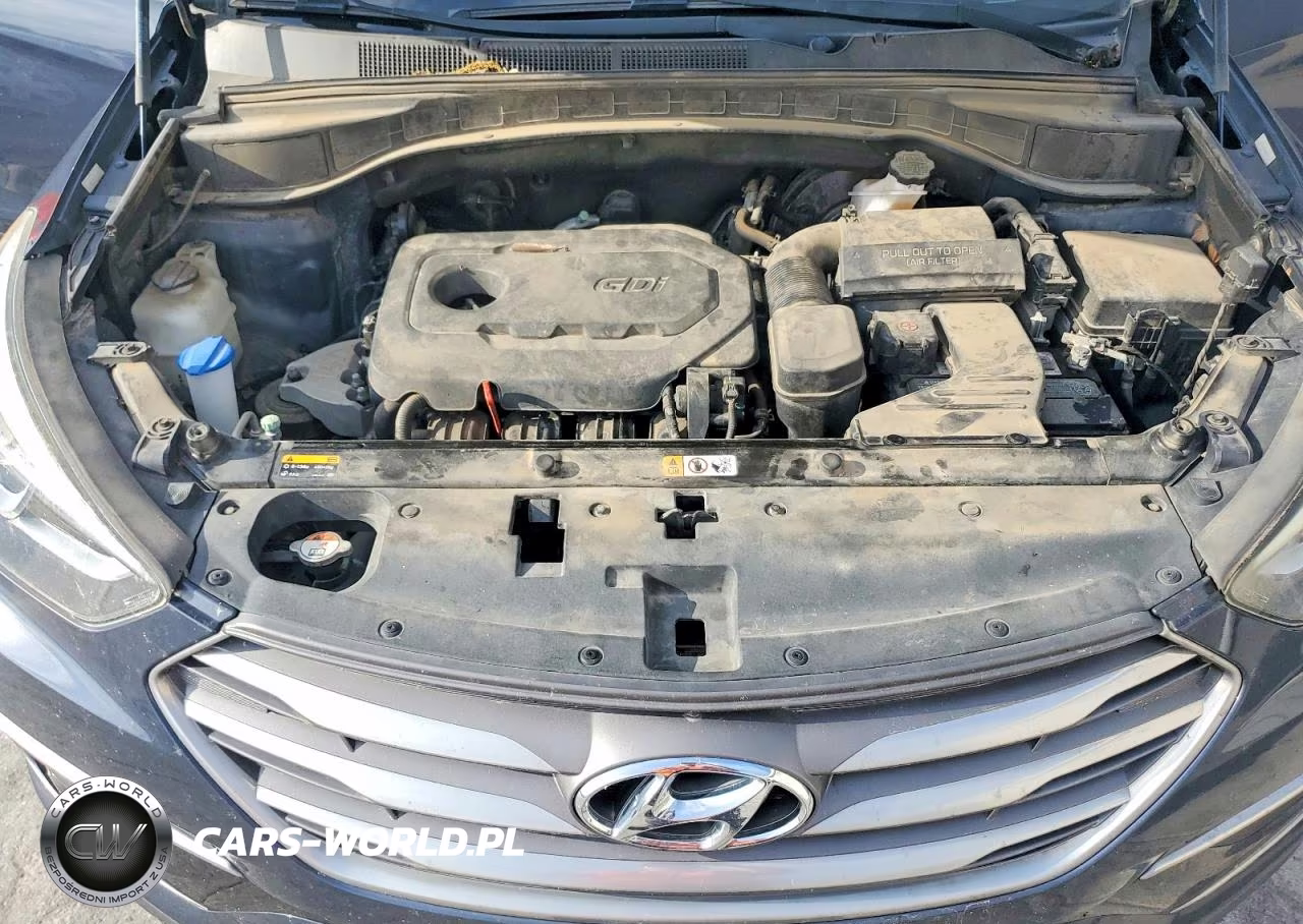 2017 Hyundai Santa Fe VIN:5XYZTDLB5HG431328 - 12