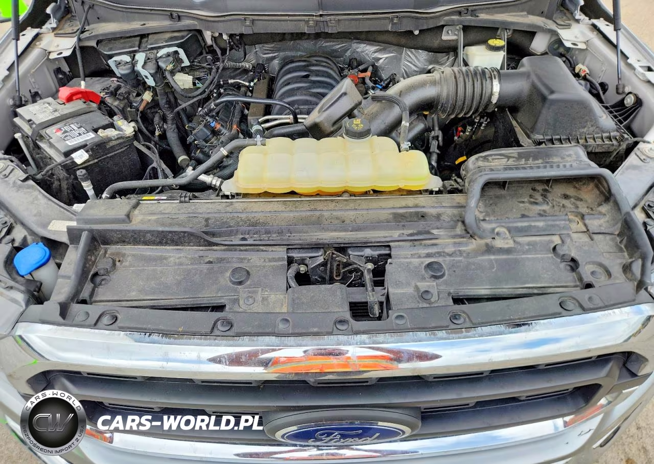 2023 Ford F150 Supercrew VIN:1FTEW1C54PKD35049 - 11