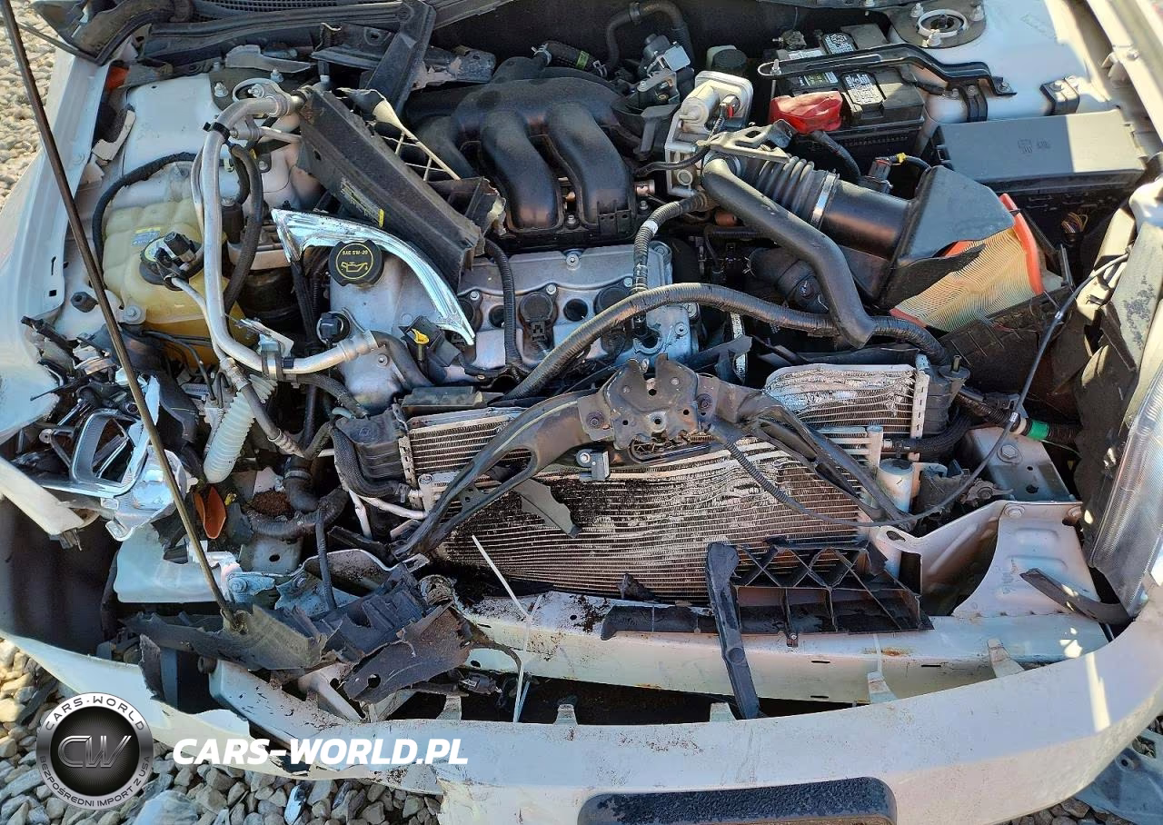 2009 Ford Fusion Sel VIN:3FAHP08189R191147 - 11