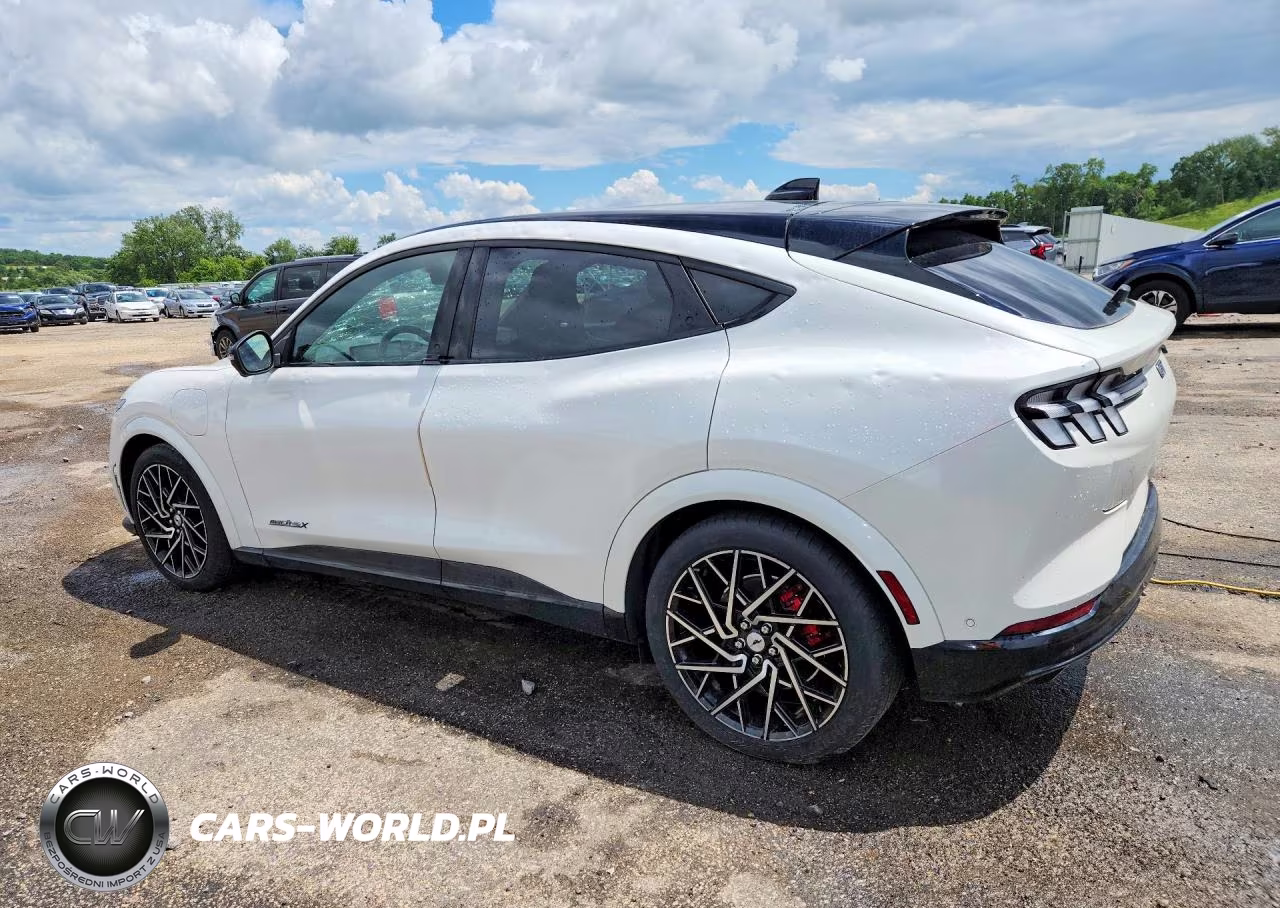 2022 Ford Mustang Mach-E Gt VIN:3FMTK4SX0NMA21634 - 2