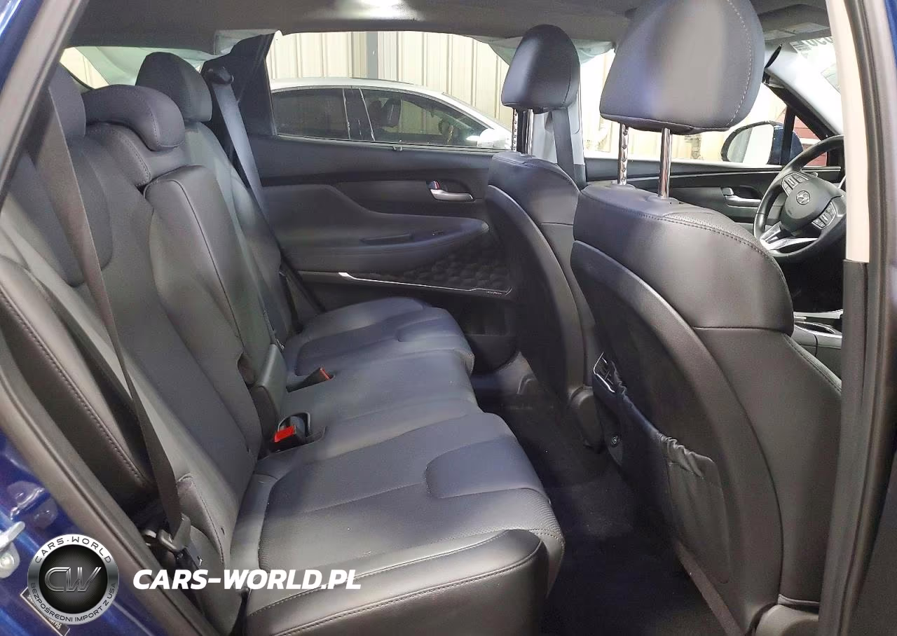 2023 Hyundai Santa Fe Sel Premium VIN:5NMS3DAJ0PH587955 - 10