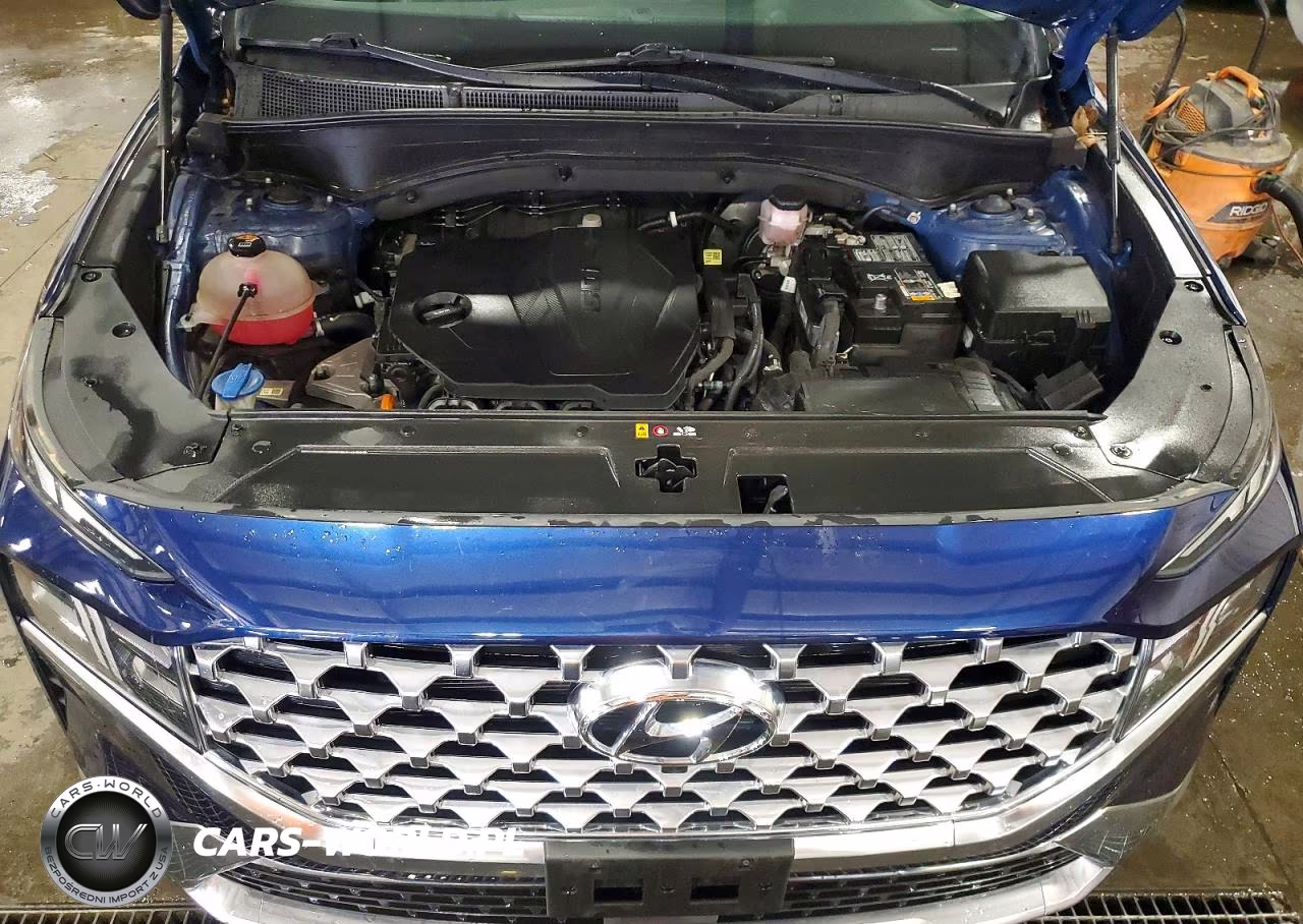 2023 Hyundai Santa Fe Sel Premium VIN:5NMS3DAJ0PH587955 - 11
