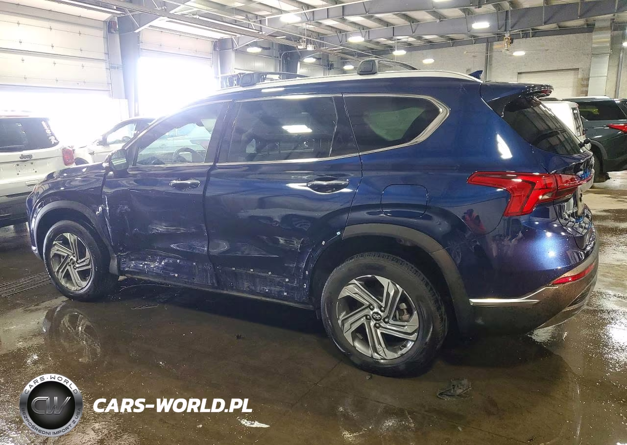 2023 Hyundai Santa Fe Sel Premium VIN:5NMS3DAJ0PH587955 - 2