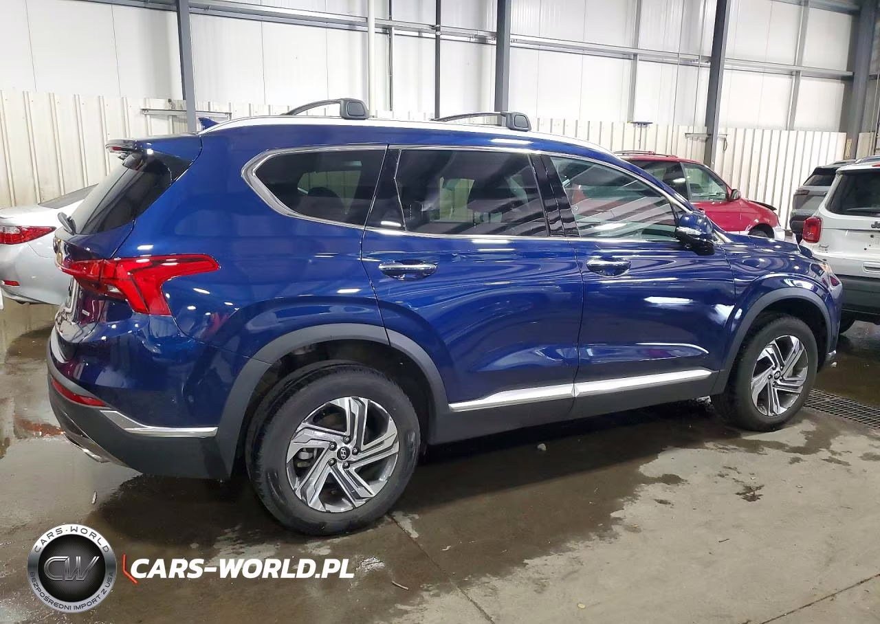 2023 Hyundai Santa Fe Sel Premium VIN:5NMS3DAJ0PH587955 - 3