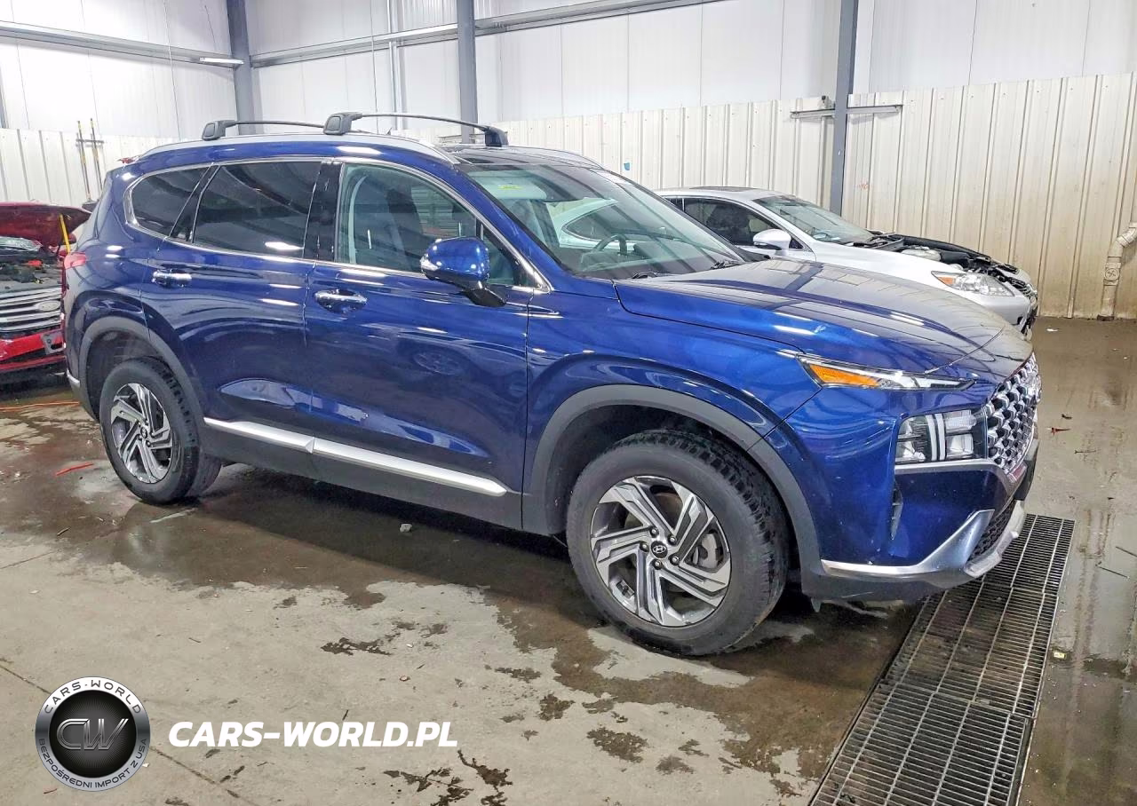 2023 Hyundai Santa Fe Sel Premium VIN:5NMS3DAJ0PH587955 - 4