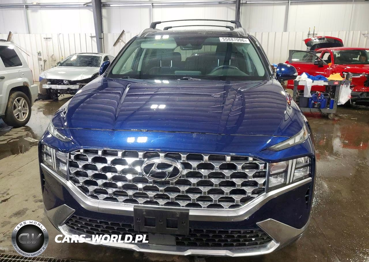 2023 Hyundai Santa Fe Sel Premium VIN:5NMS3DAJ0PH587955 - 5