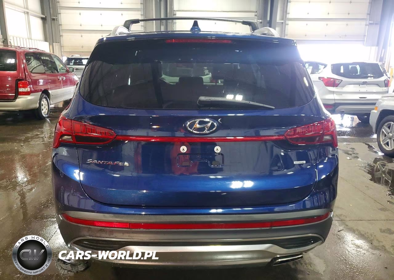 2023 Hyundai Santa Fe Sel Premium VIN:5NMS3DAJ0PH587955 - 6
