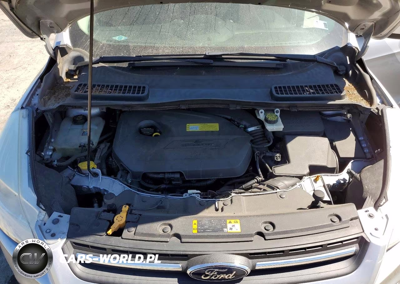 2013 Ford Escape Se VIN:1FMCU0GX3DUB43149 - 12