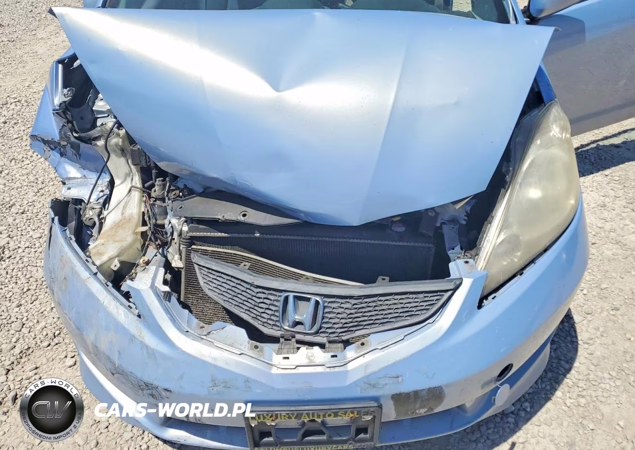 2010 Honda Fit Sport VIN:JHMGE8G47AC037486 - 12