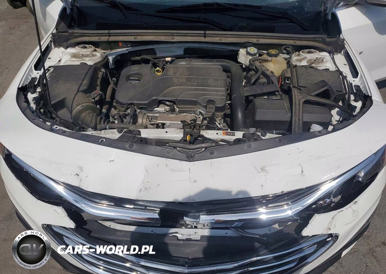 2023 Chevrolet Malibu Lt VIN:1G1ZD5ST7PF219764 - 11