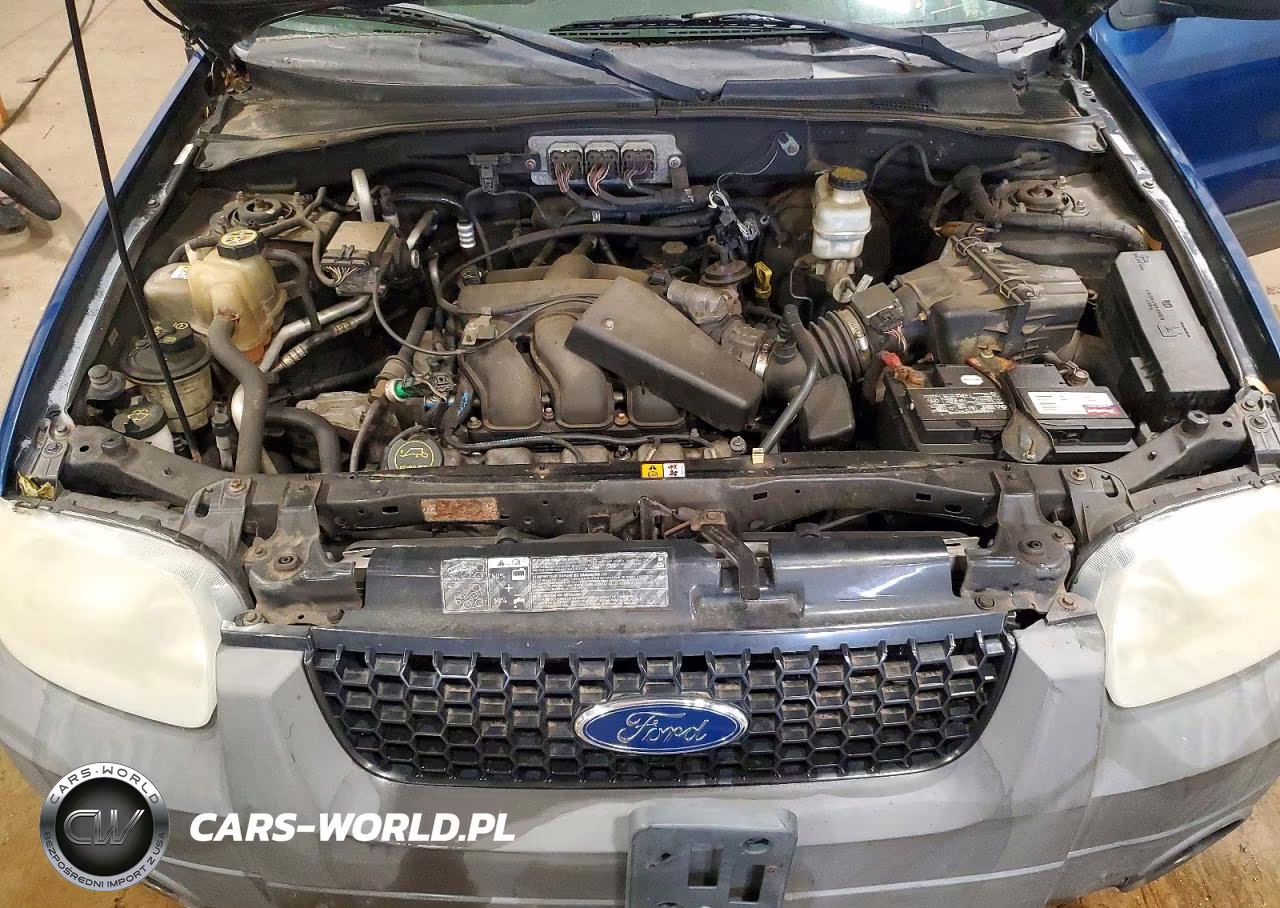 2007 Ford Escape Xlt VIN:1FMYU93157KA06256 - 12