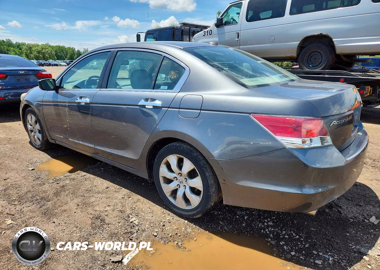 2009 Honda Accord Exl VIN:1HGCP36839A014202 - 2