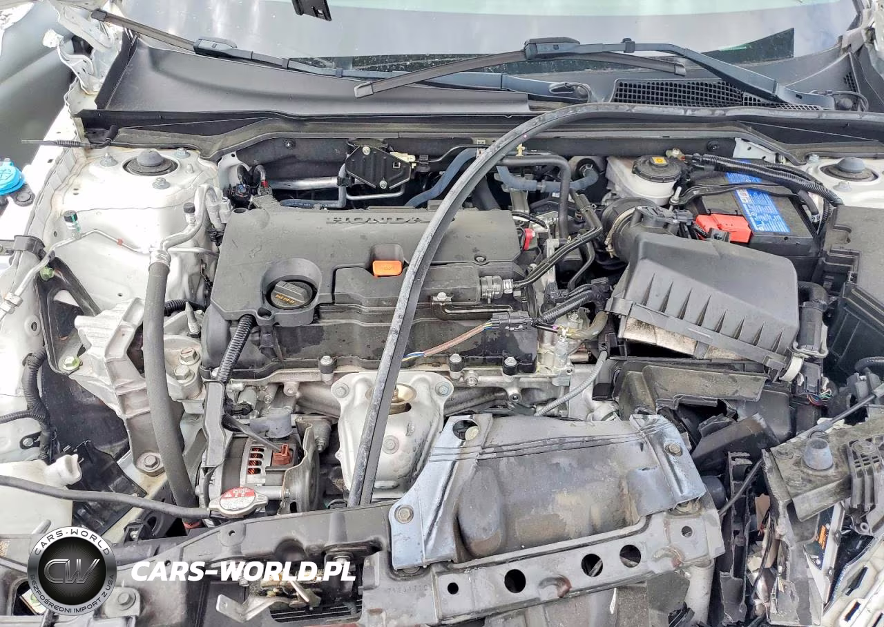 2024 Honda Civic Sport VIN:2HGFE2F54RH585346 - 11