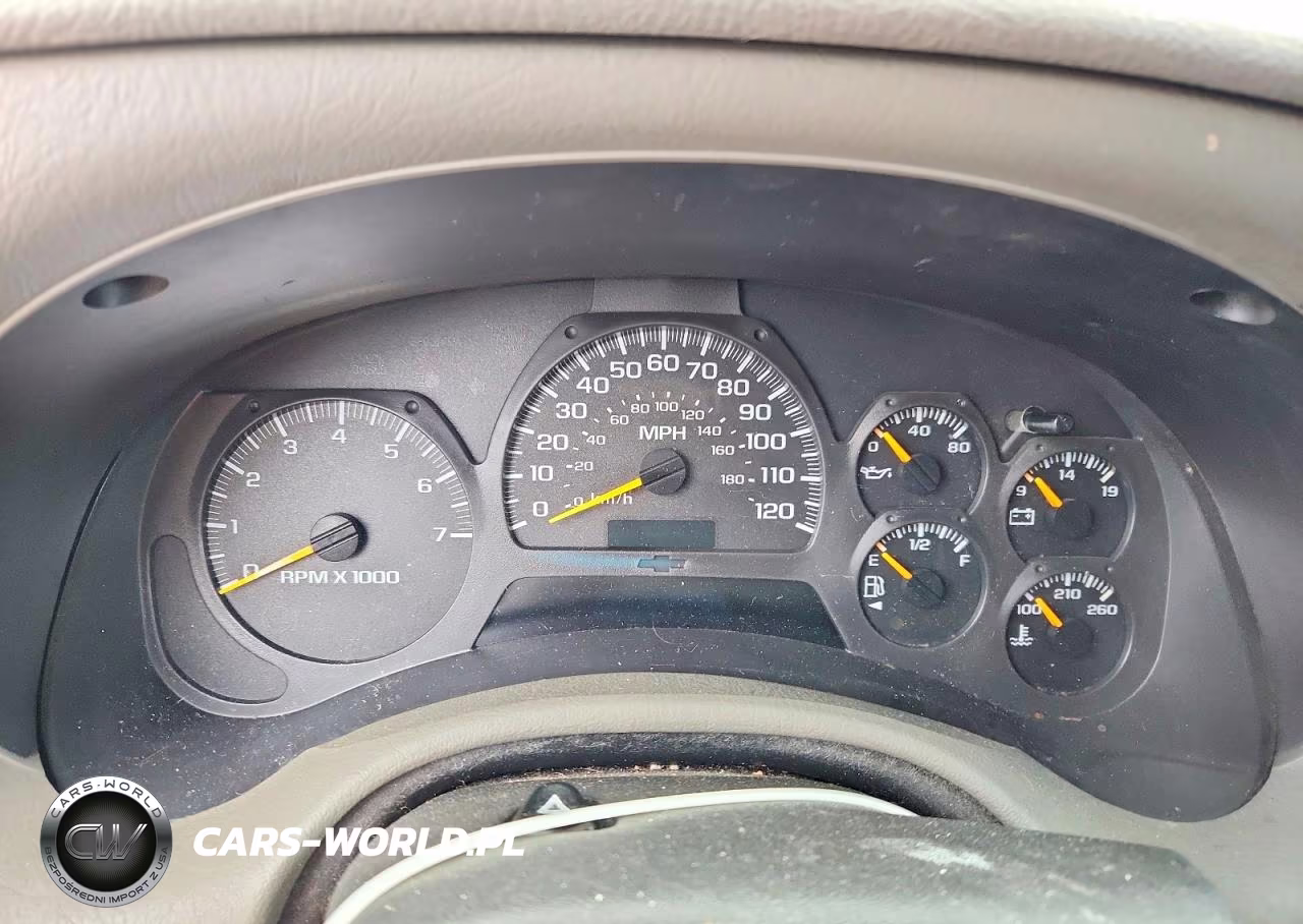 2003 Chevrolet Trailblazer VIN:1GNDS13S732145258 - 9