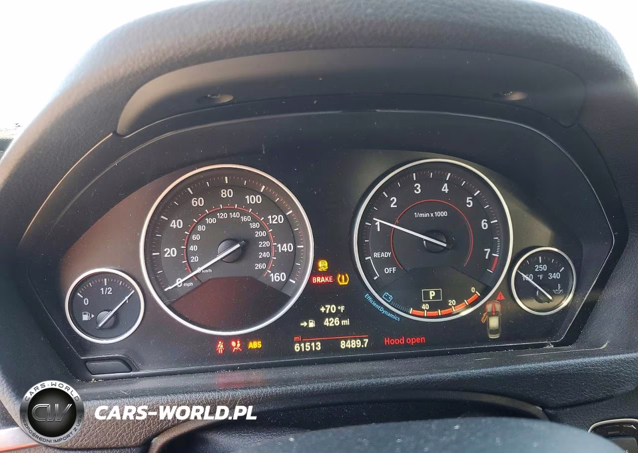 2017 BMW 330 I VIN:WBA8B9G32HNU55428 - 9