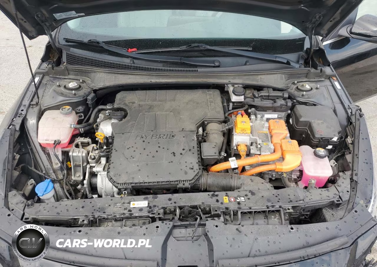 2021 Hyundai Elantra Limited VIN:KMHLN4AJ4MU006388 - 11